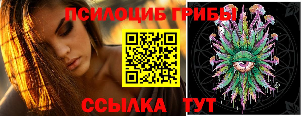 Псилоцибиновые грибы MAGIC MUSHROOMS Сосновый Бор
