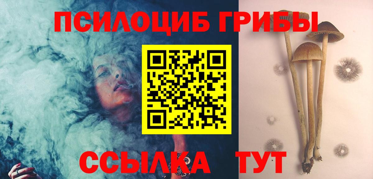 Псилоцибиновые грибы MAGIC MUSHROOMS  Галлюциногенные грибы Psilocybe  Вход с VPN  Сосновый Бор 